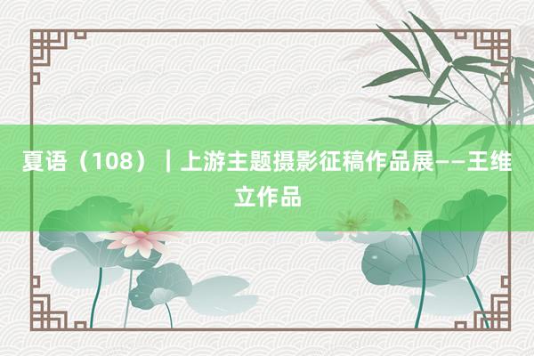 夏语（108）｜上游主题摄影征稿作品展——王维立作品